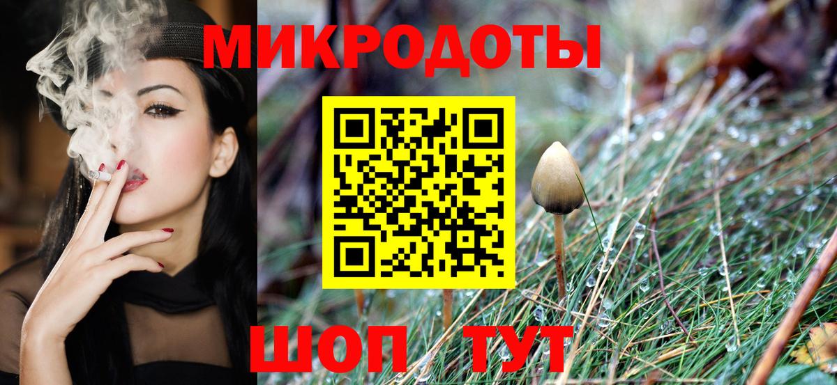Галлюциногенные грибы Psilocybine cubensis  где купить   Татарск  Вход с VPN 