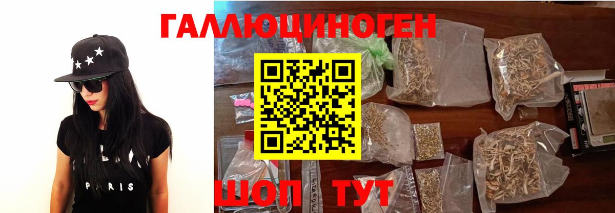 Псилоцибиновые грибы Cubensis Татарск